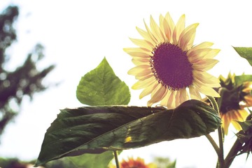 DSCF9032.jpg