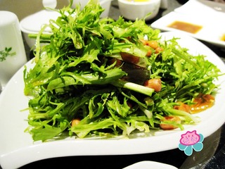 IMG_0038陈醋苦苣