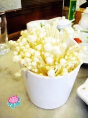 IMG_2508金针菇.jpg