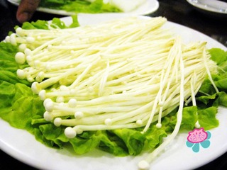 IMG_0348 金针菇