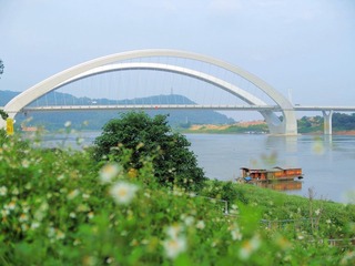 P5207777