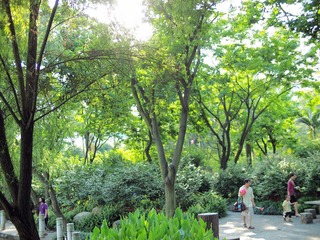 P5077379