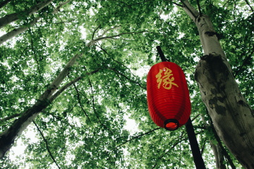 Canon EF-M 22mm f\/2 STM, 样片, 照片, 图片 -