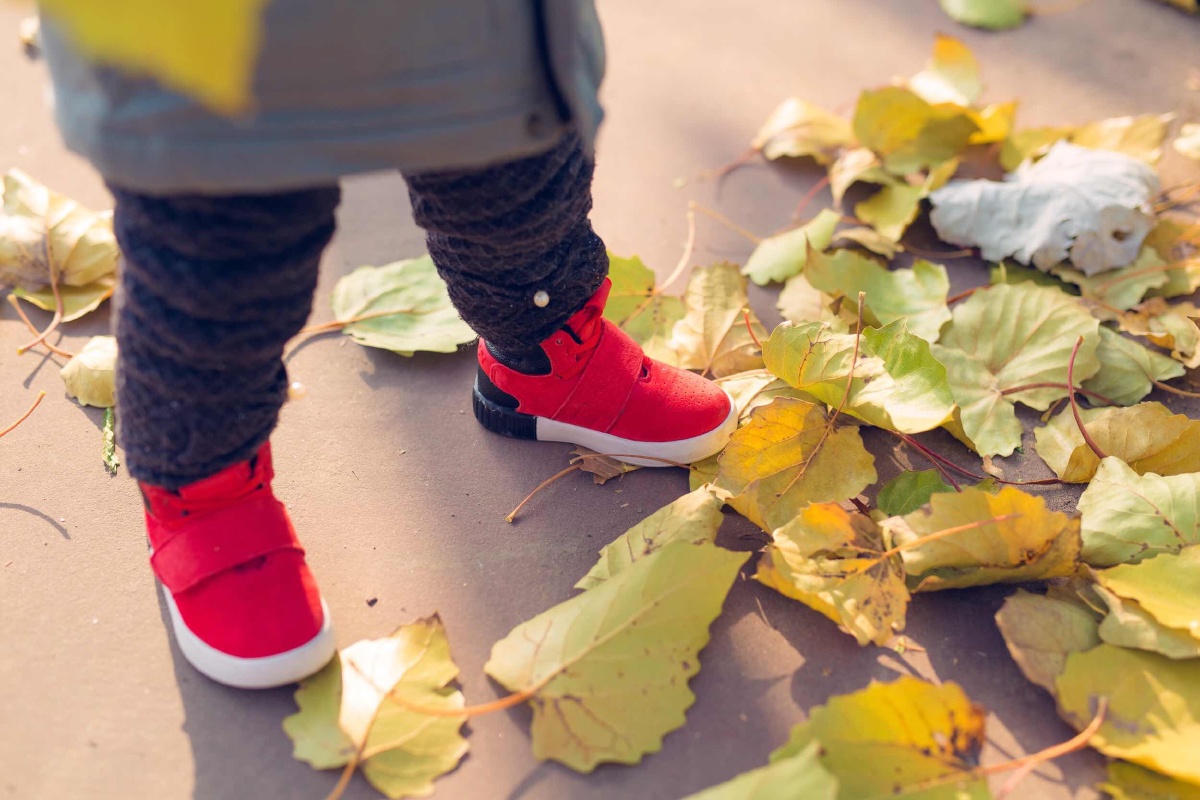 粑粑麻麻带你踩树叶