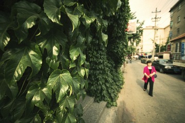 IMG_0687a