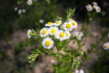 IMG_1073a