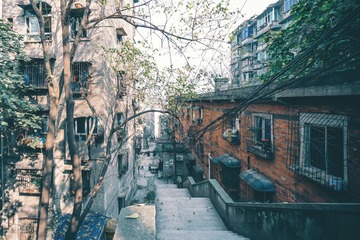 DSC03524-2