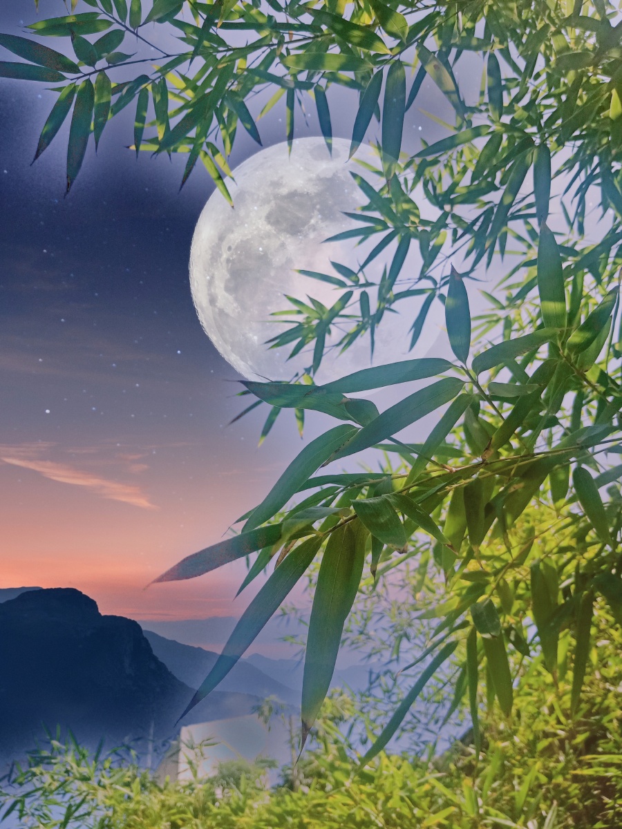 穹顶之下国与家月亮之下我和你