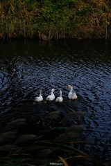 550D0628-FE39-4907-99BD-38BCF42AA771/L0/001