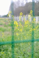 7C6CF1B0-F190-4C68-918B-70C8DEDC7EF7/L0/001