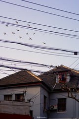 647A467B-60ED-4D20-A2BA-E97653B3E113/L0/001