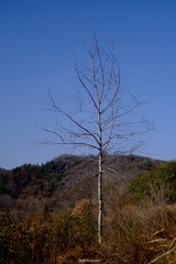 2EC19F91-1E62-4D53-8E1F-708F5F70C5C1/L0/001