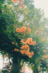 08B8E703-91B5-4985-B1B5-F103F9D189DB/L0/001