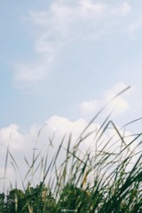 F401AD0B-A027-4A43-BB9B-009E146C0A64/L0/001