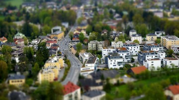 _DSC3319