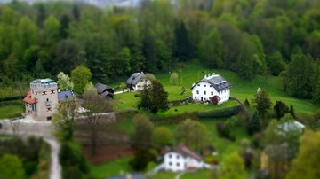 _DSC3387
