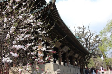 晋祠春色