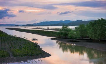 盐洲岛滩涂