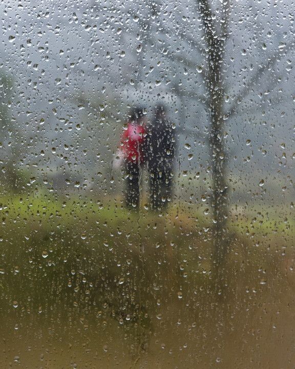 《风雨情深》<br />
