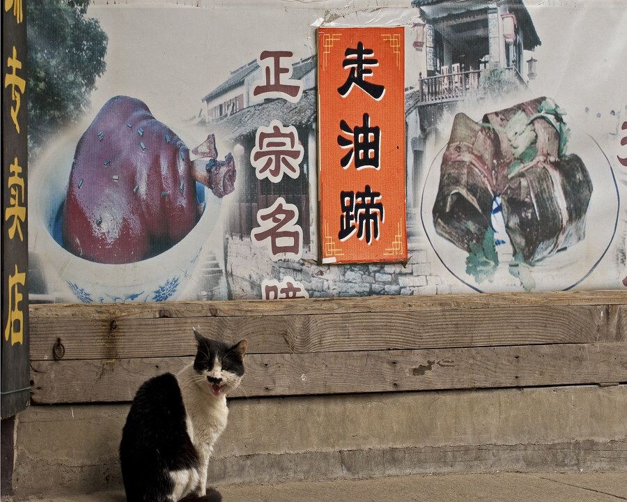 〈叫卖声声〉<br />
