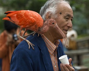 《和睦相处》