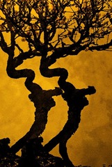 《春天的脚步》
