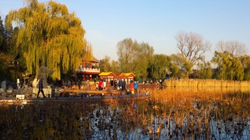 IMG_2209x