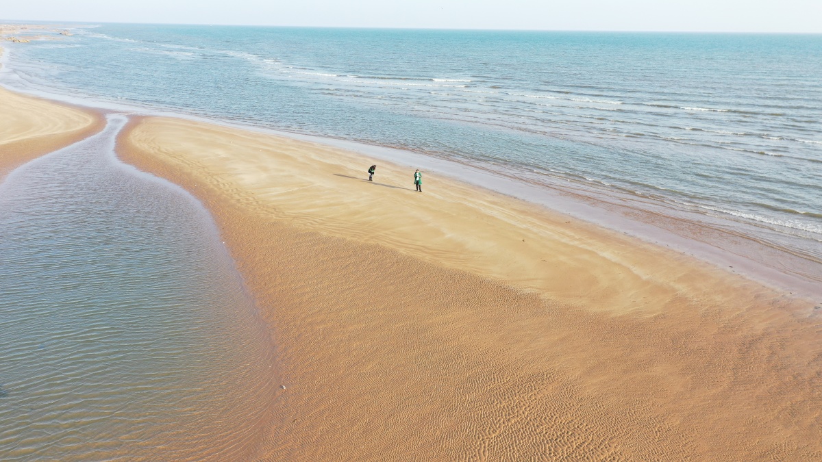 绥中张见港海滩