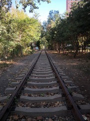 1289977