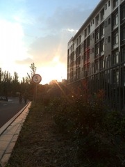 IMG_20140828_185556(1)