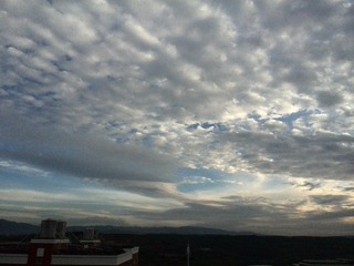 IMG_20141105_174722