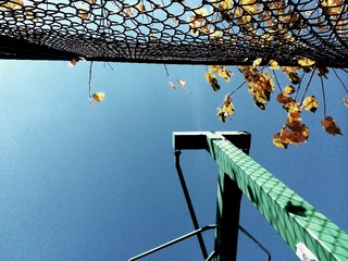 IMG_20141110_142338