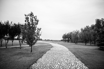 _HYF0794