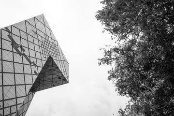 _HYF0772