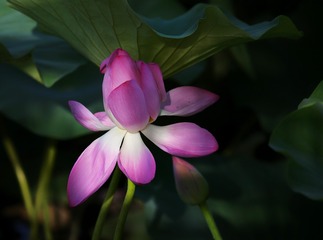 001