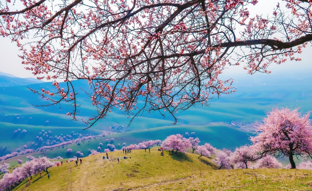 新疆杏花沟高清壁纸图片