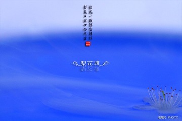 l3.jpg