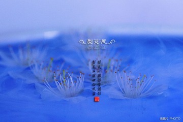l16.jpg