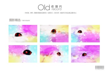 精选封面.jpg