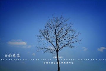 云的眷恋