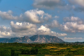 _54A7693