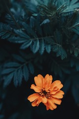 1493130