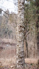 20170128-DSC_0084