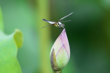 001