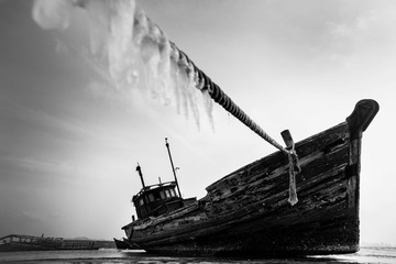 “_DSC8556”为智能对象-1