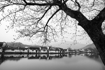 烟雨南湖