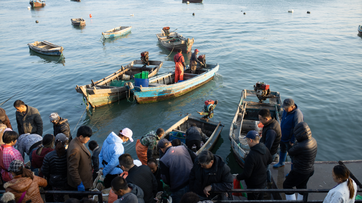 威海记录海边渔民日常