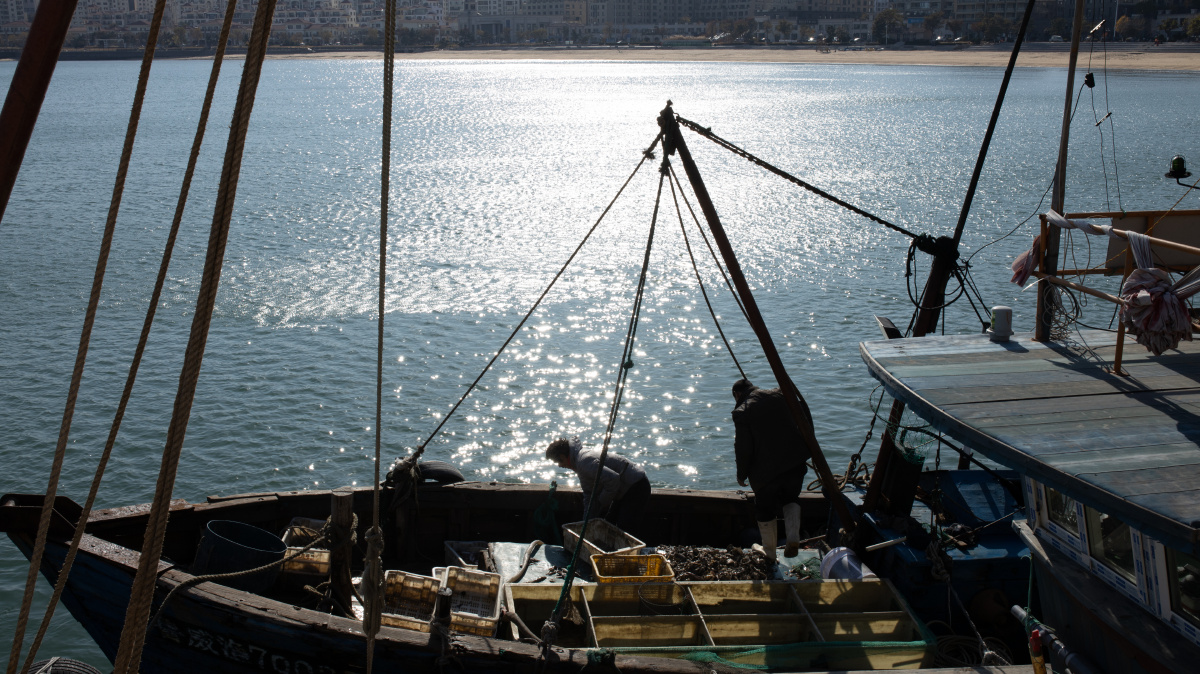 威海记录海边渔民日常