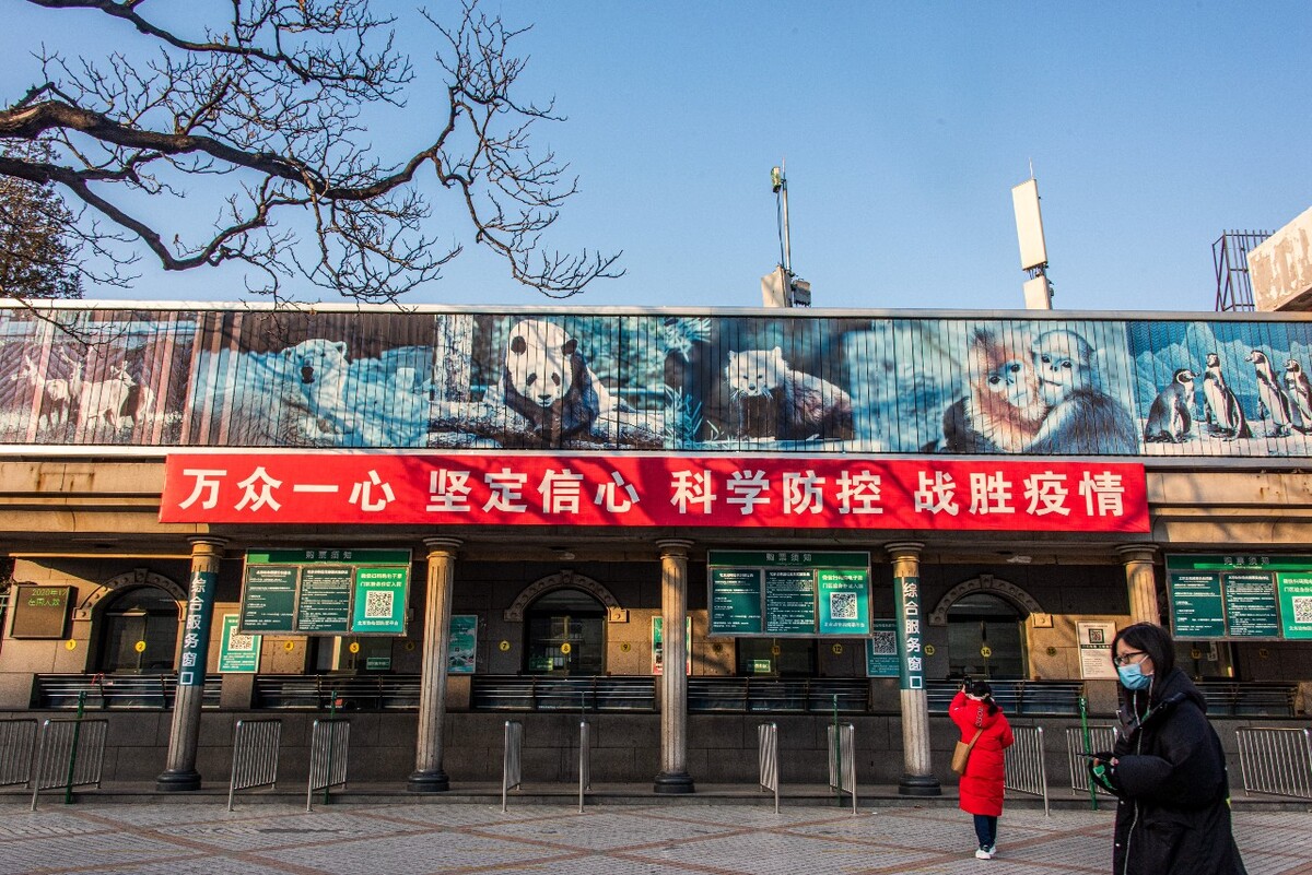 城市的暴力美学<br />
rt