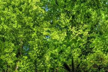 DSC_4104.jpg